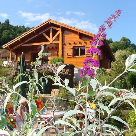 Chalet Notre Retraite Ventron Ngoại thất bức ảnh