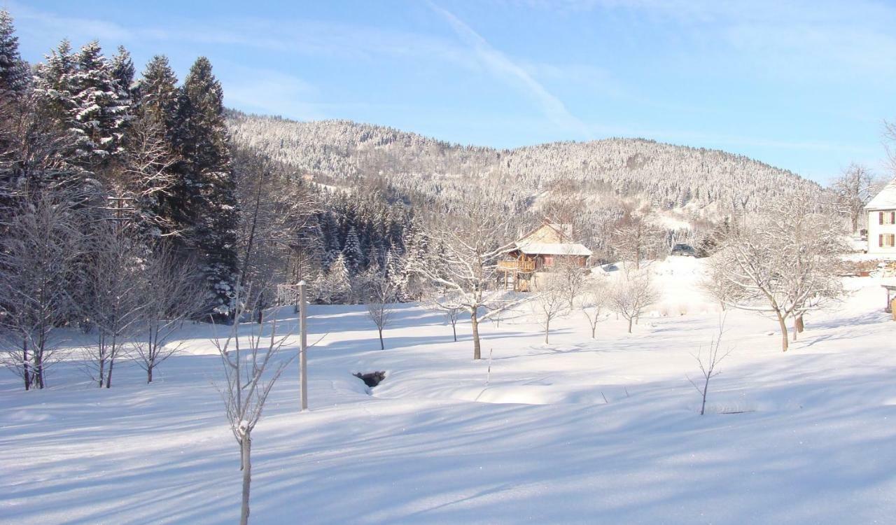 Chalet Notre Retraite Ventron Ngoại thất bức ảnh